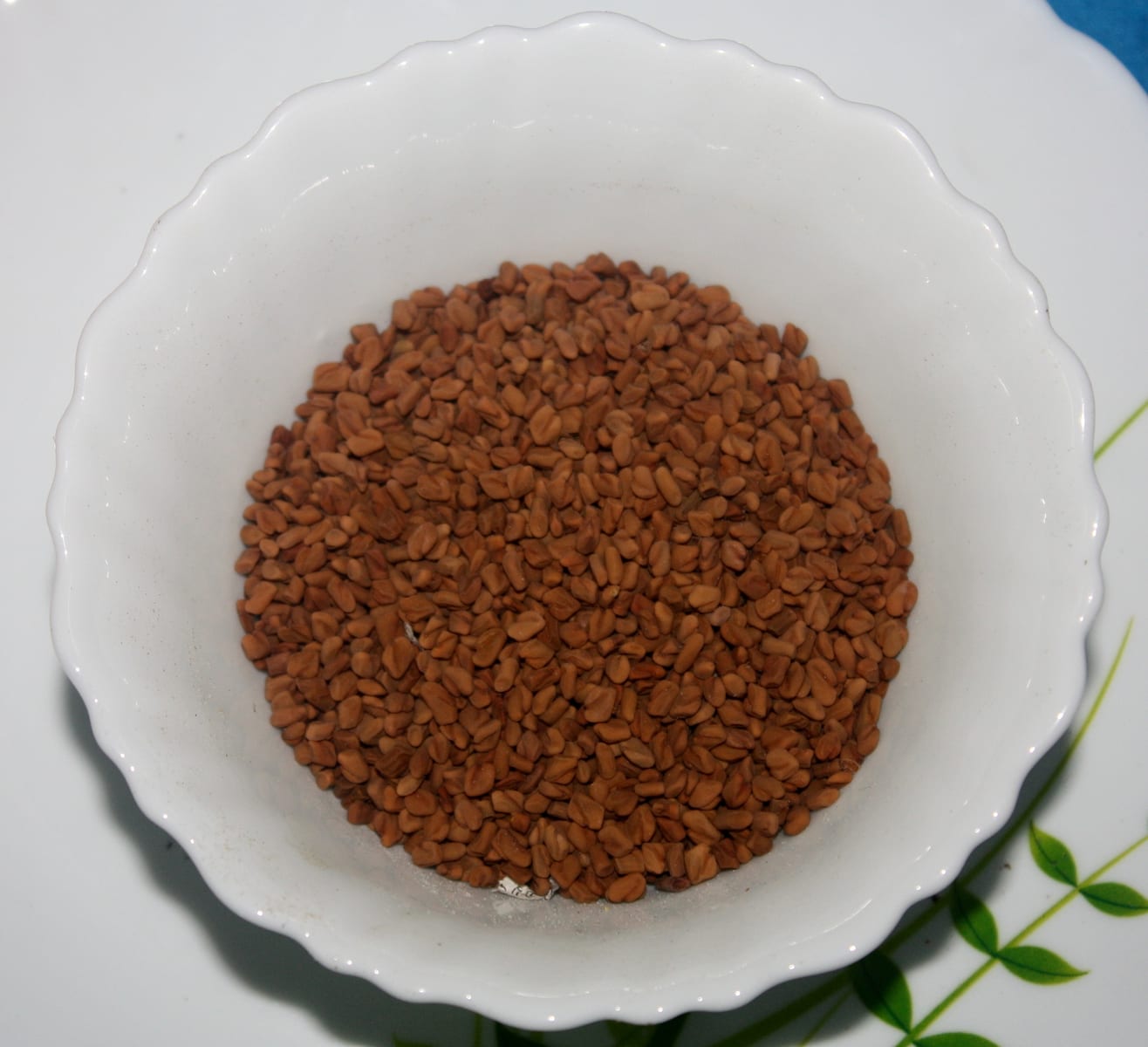 Fenugreek