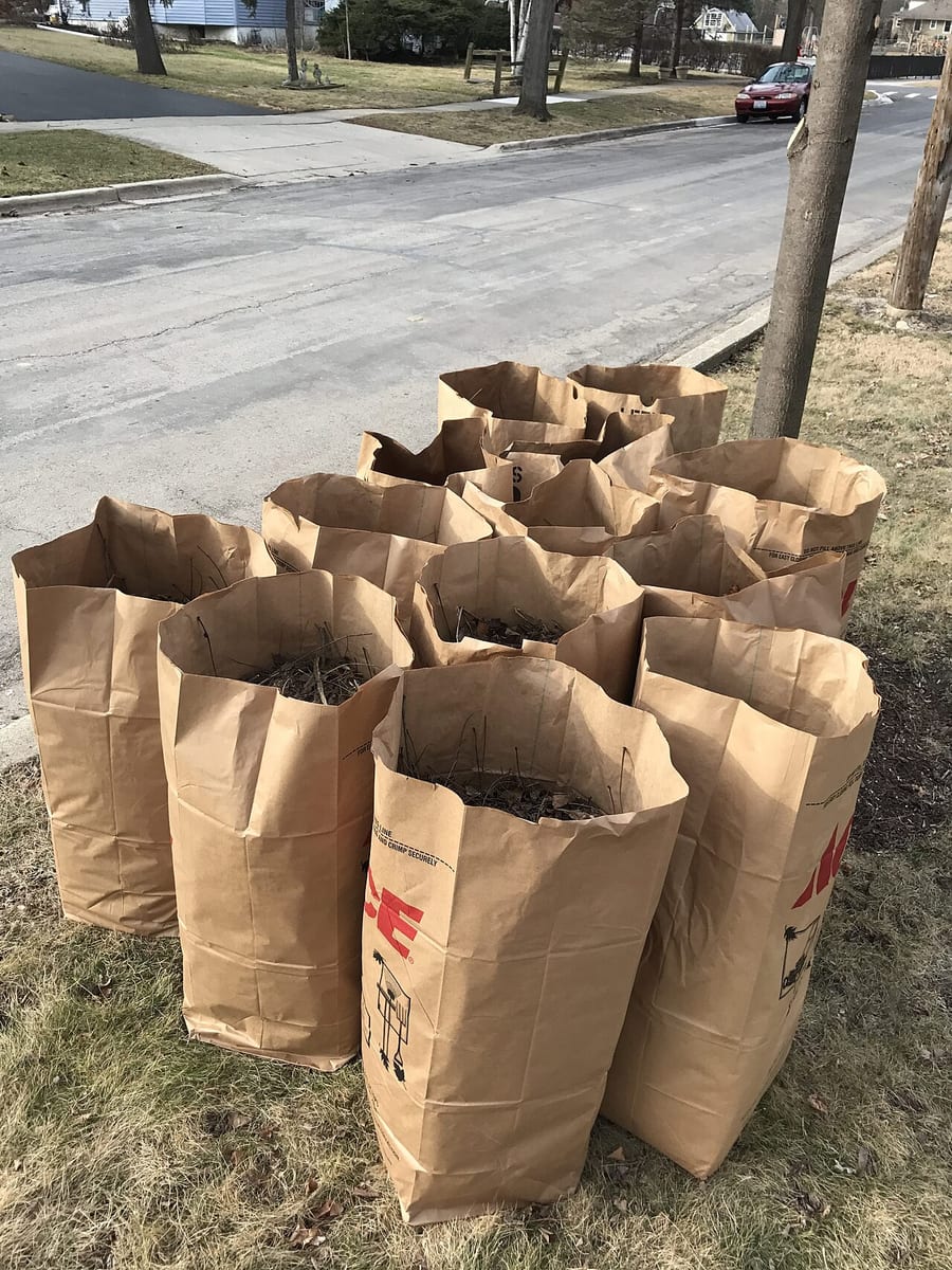 Heavy-duty Paper Bags — 3