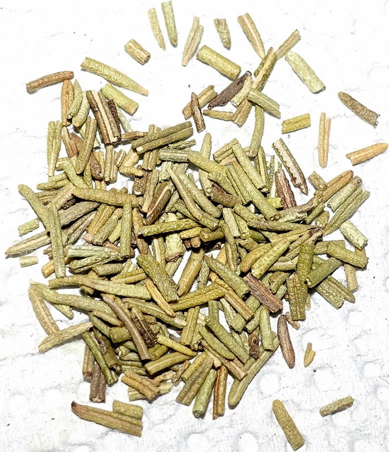 Rosemary — 2