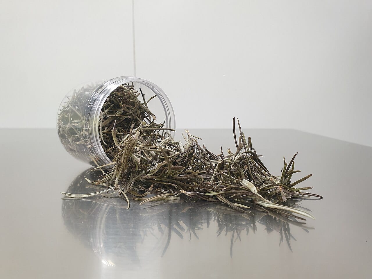 Rosemary — 4