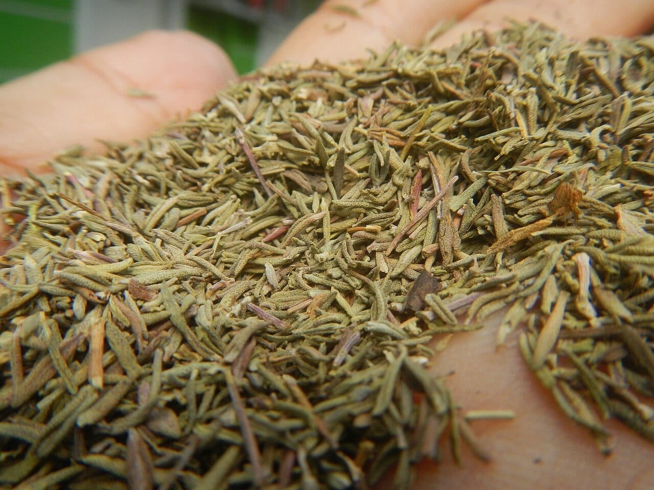 Thyme — 2