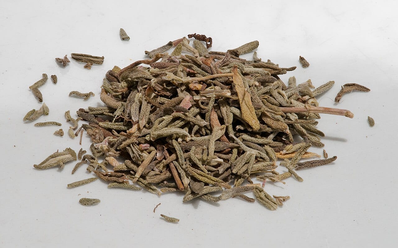 Thyme — 3
